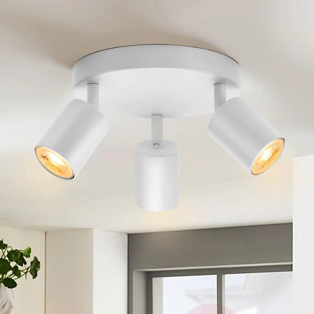 Beam Adjustable Spotlight