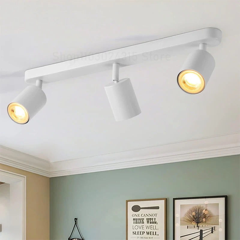 Beam Adjustable Spotlight