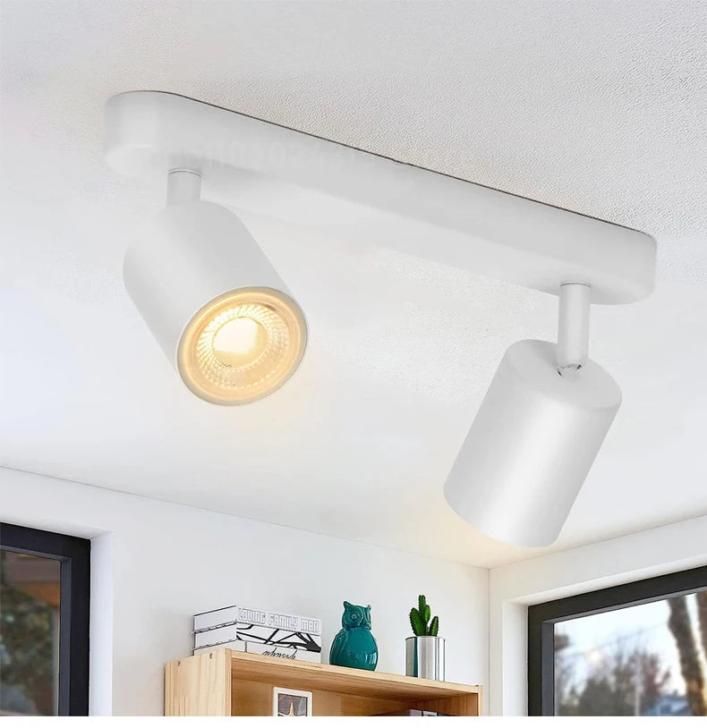 Beam Adjustable Spotlight
