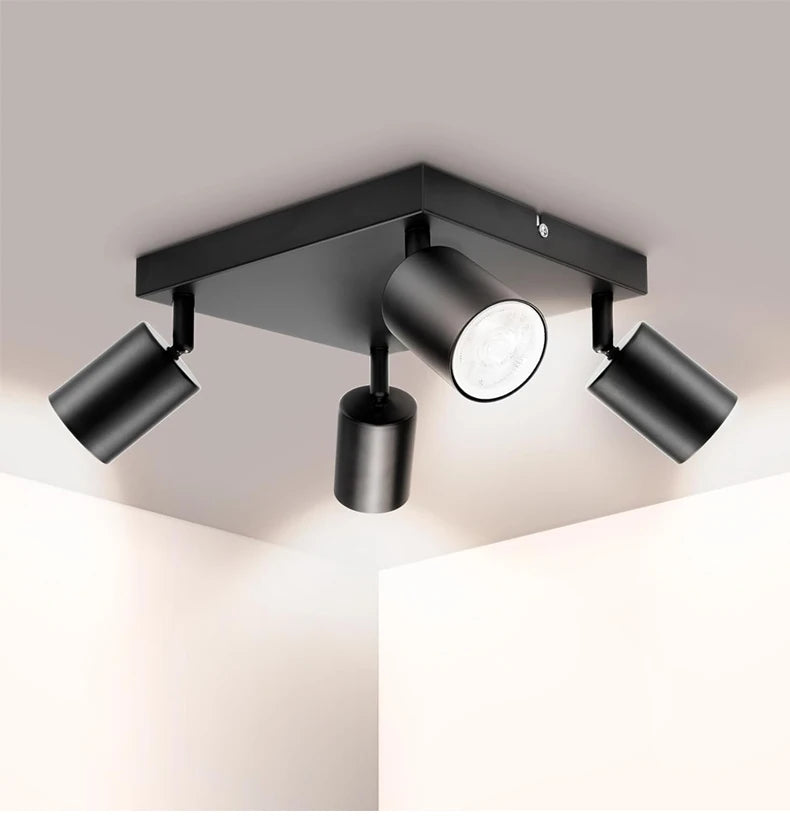 Quad-Head Adjustable Spotlight