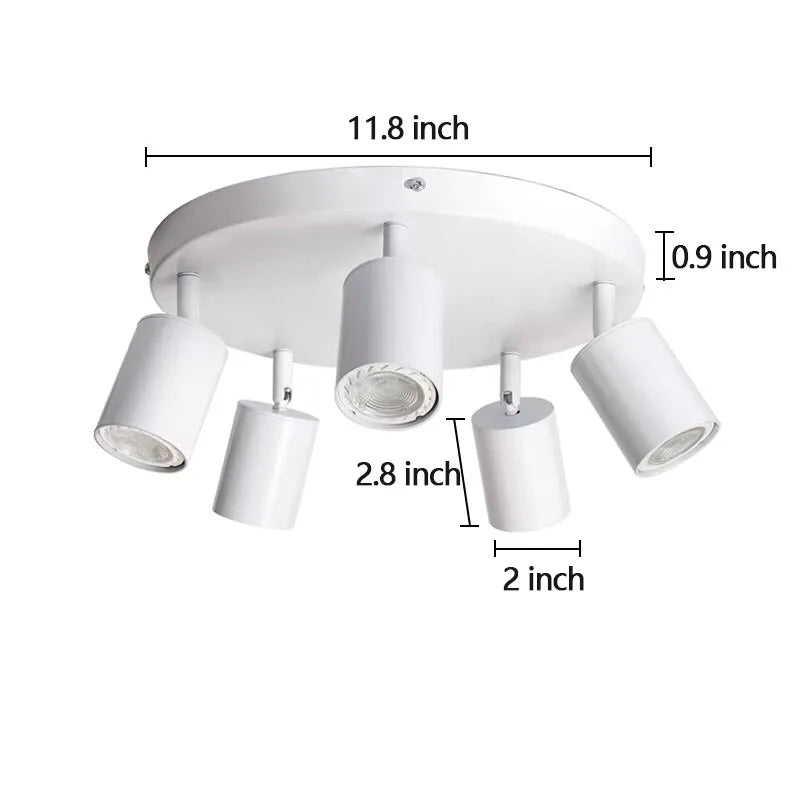 Beam Adjustable Spotlight