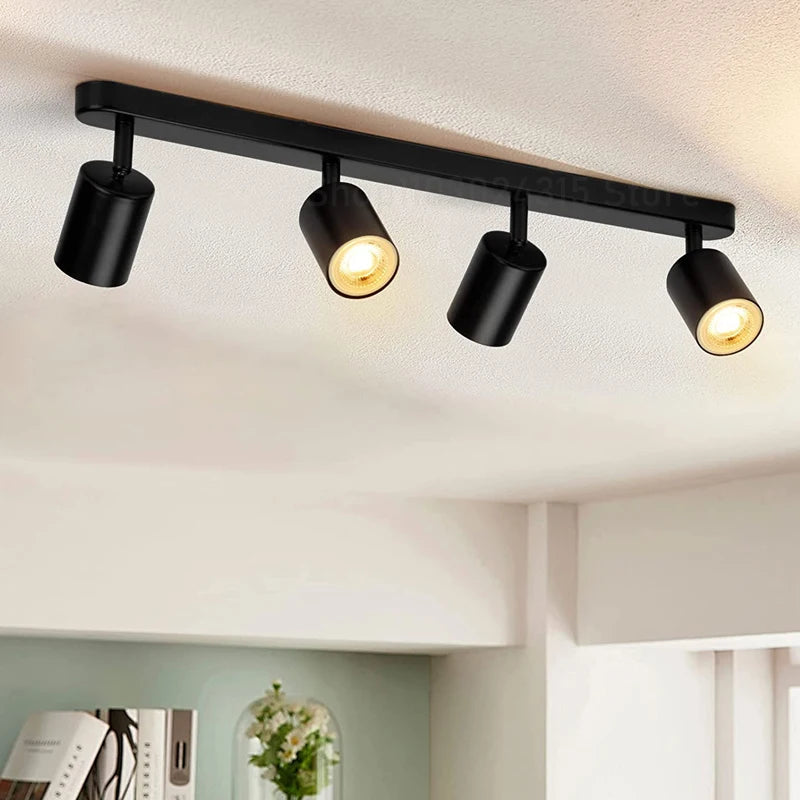 Beam Adjustable Spotlight