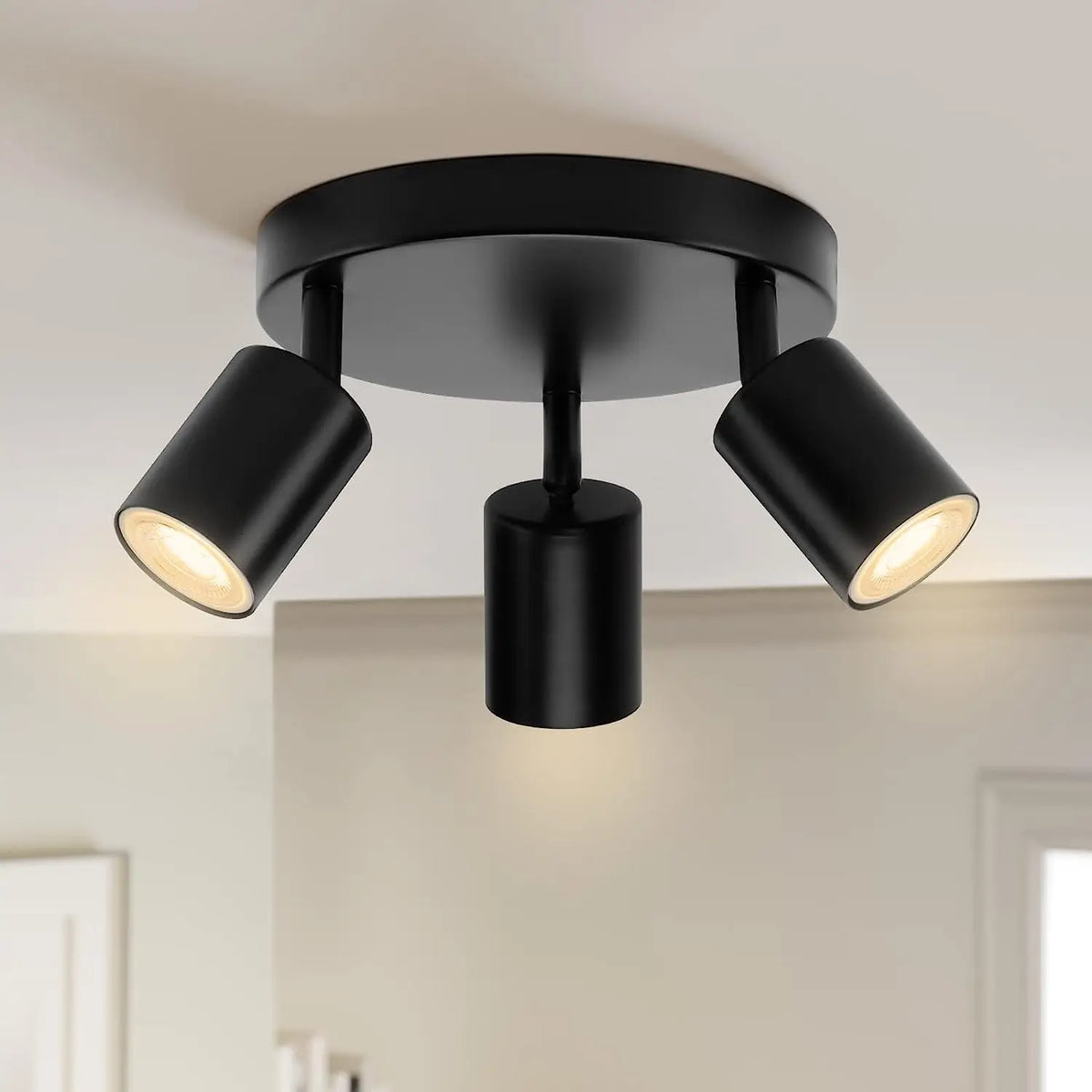 Beam Adjustable Spotlight