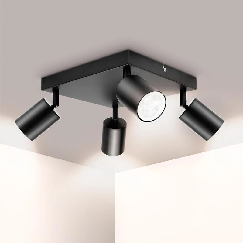 Quad-Head Adjustable Spotlight