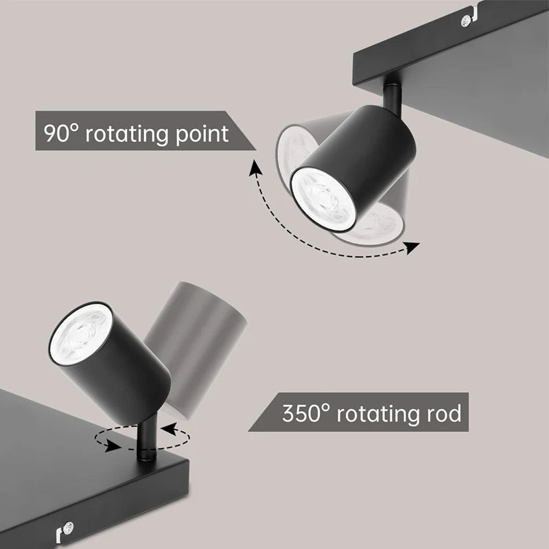 Quad-Head Adjustable Spotlight