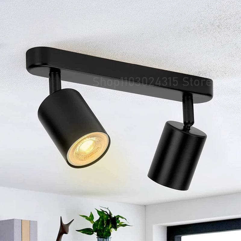 Beam Adjustable Spotlight