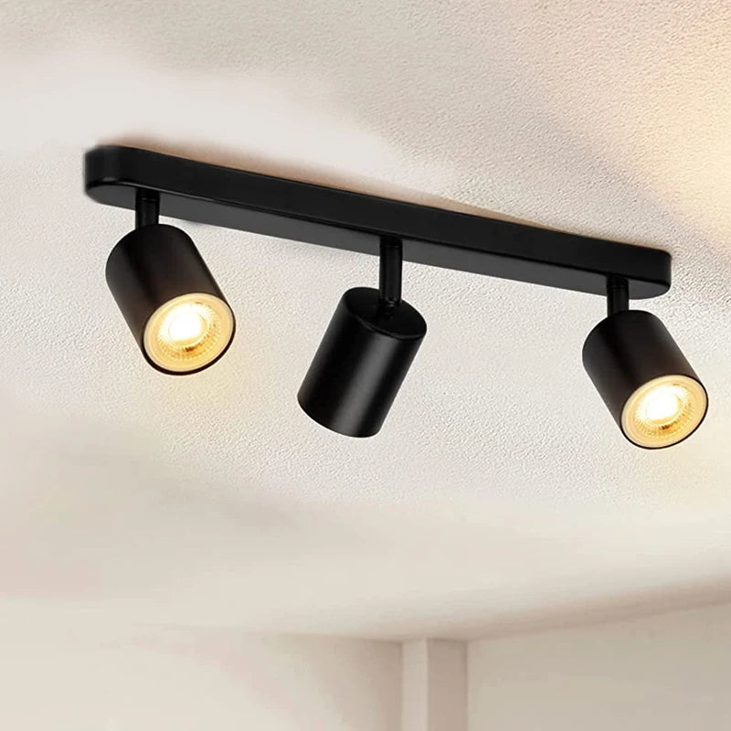 Beam Adjustable Spotlight